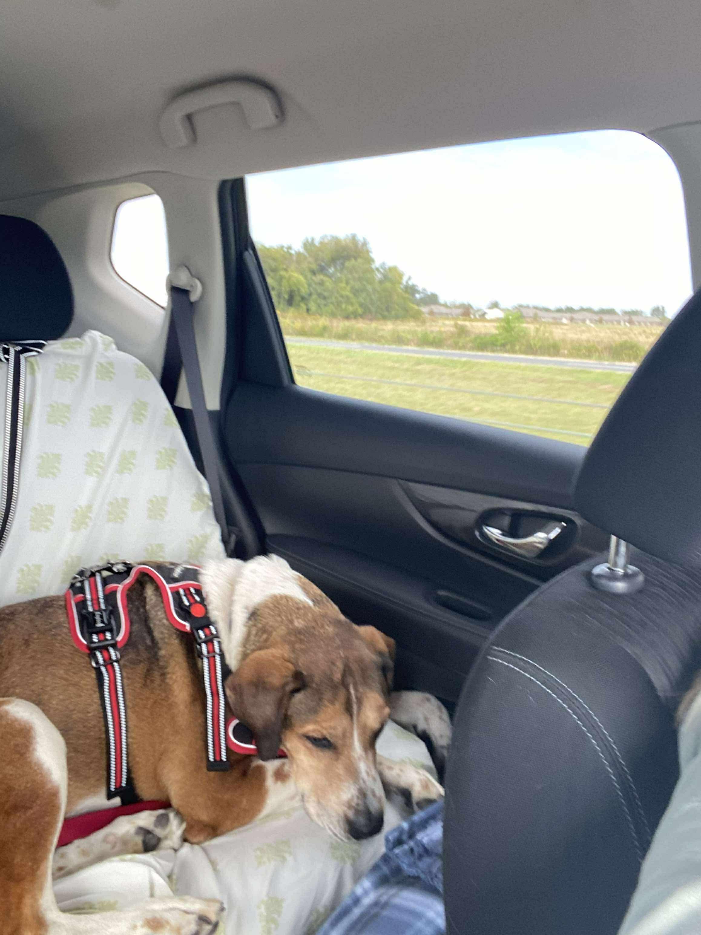 Big Jake thumbnail 6