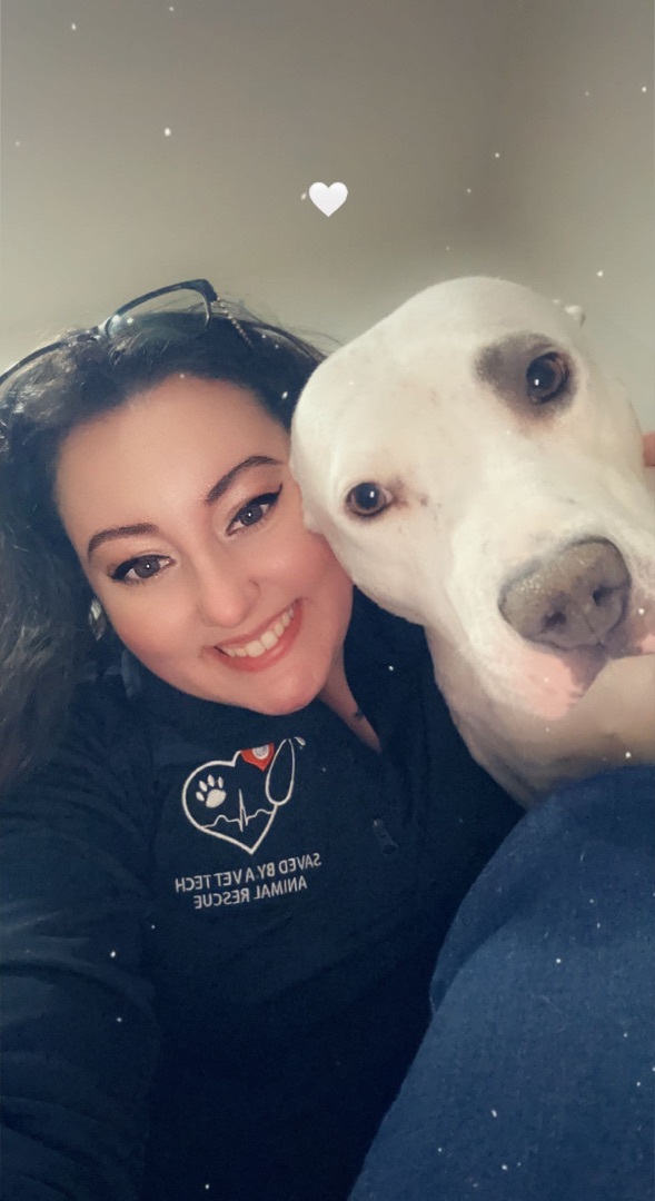 Enlarge Milkmaid, a Adoptable mixed breed image 2/10