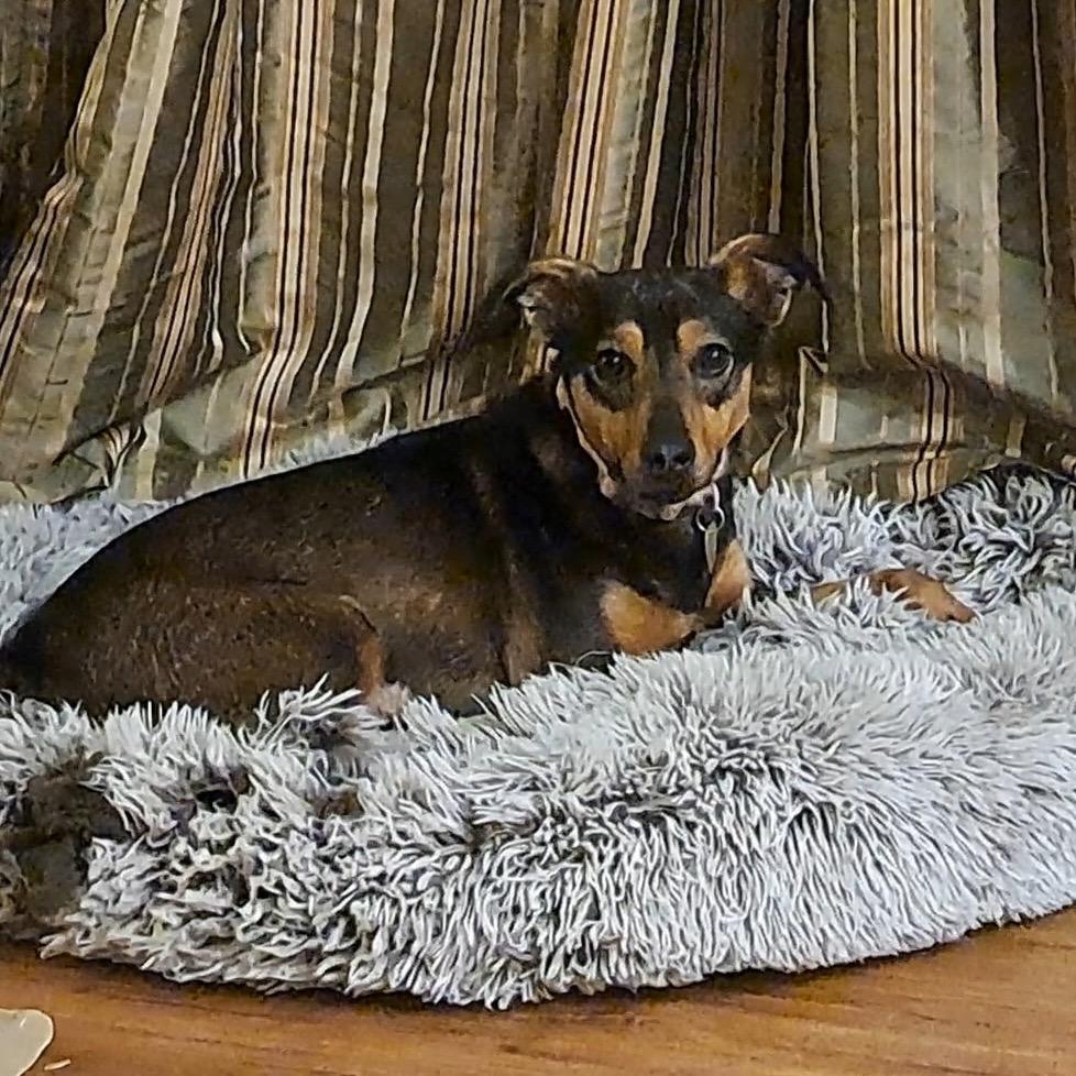 Ella — thumbnail 2