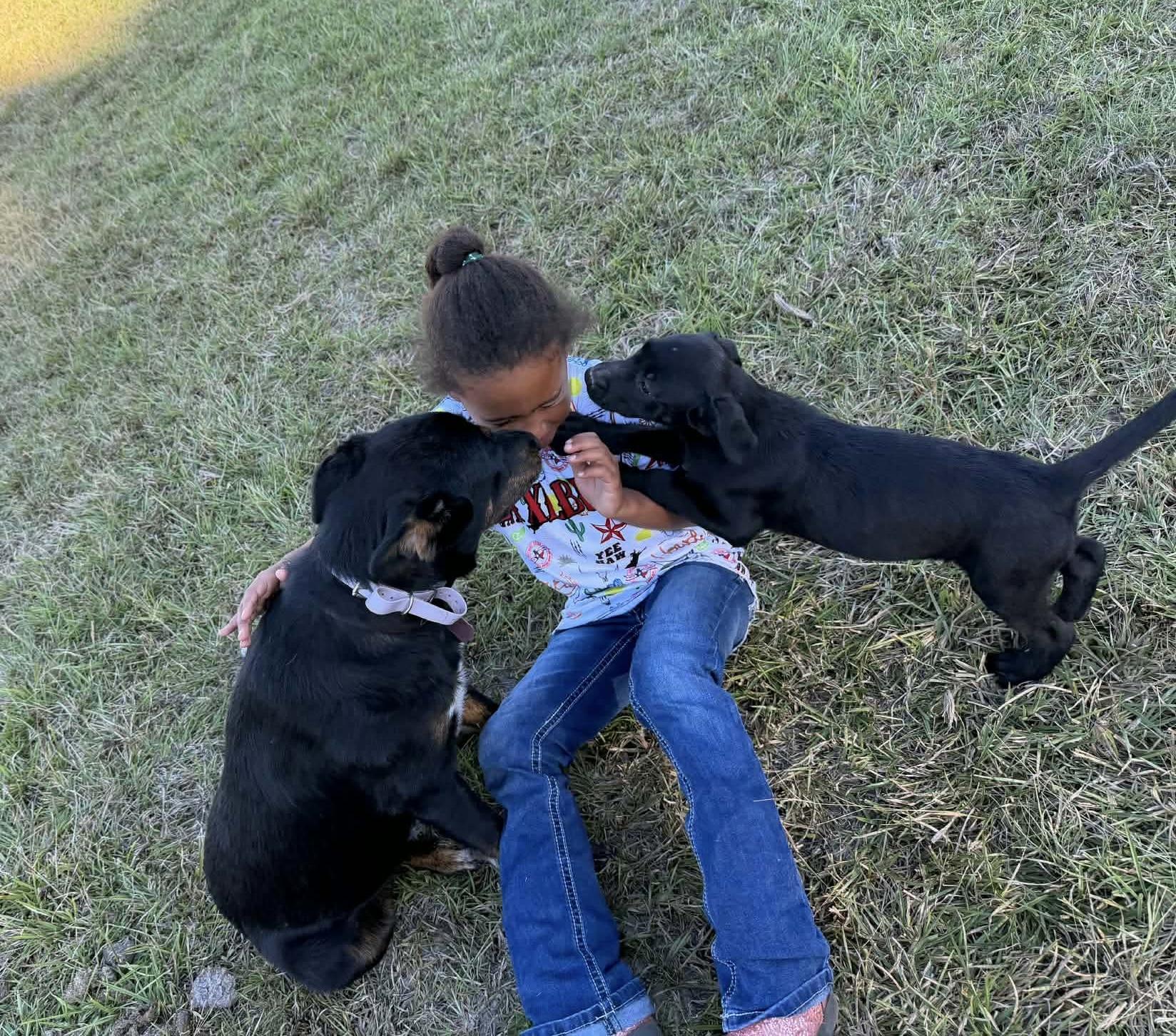 Enlarge Sammie, an adopted mixed breed in Humble, TX image 4/6