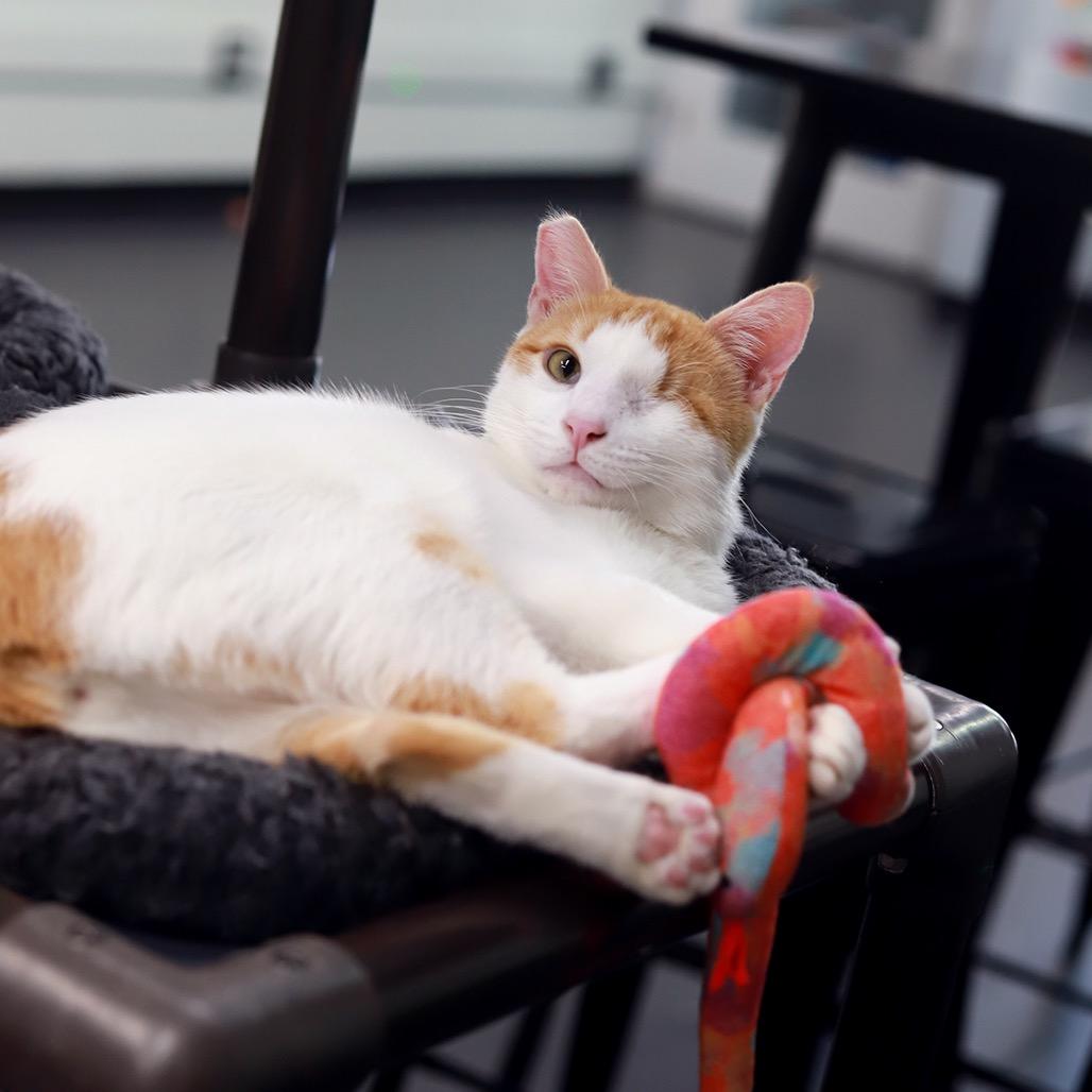 Sheldon — thumbnail 4