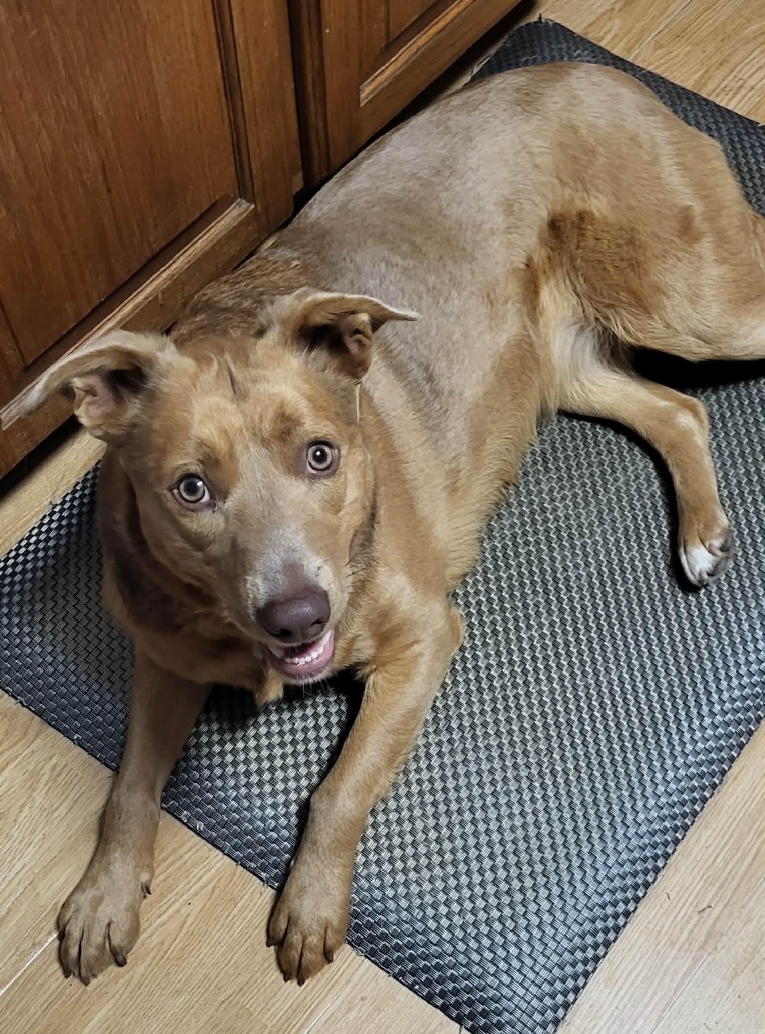 Miss Skye (20250131-01) — thumbnail 2