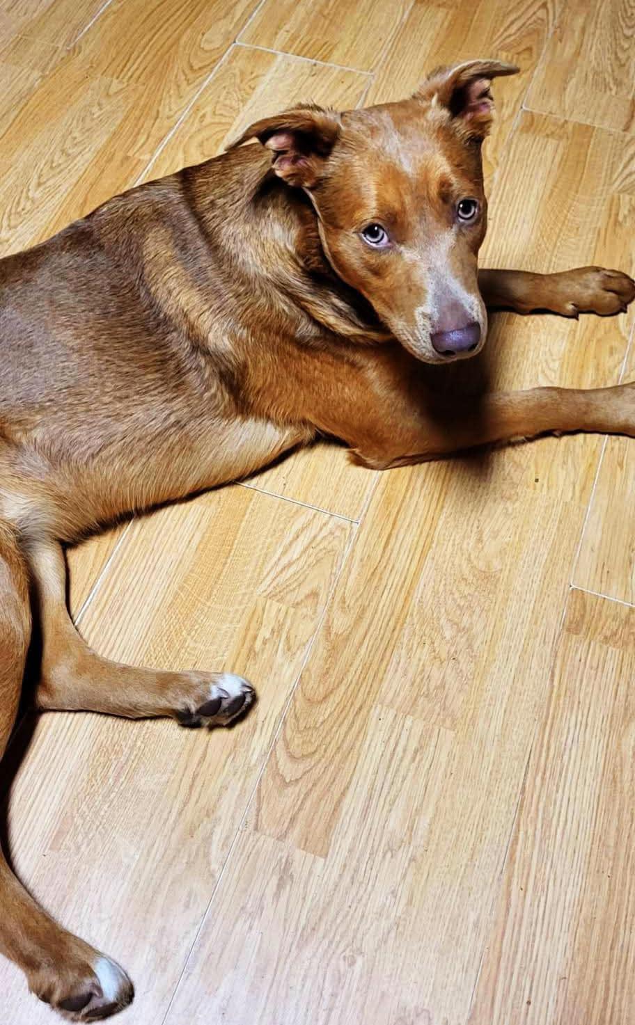 Miss Skye (20250131-01) — thumbnail 3