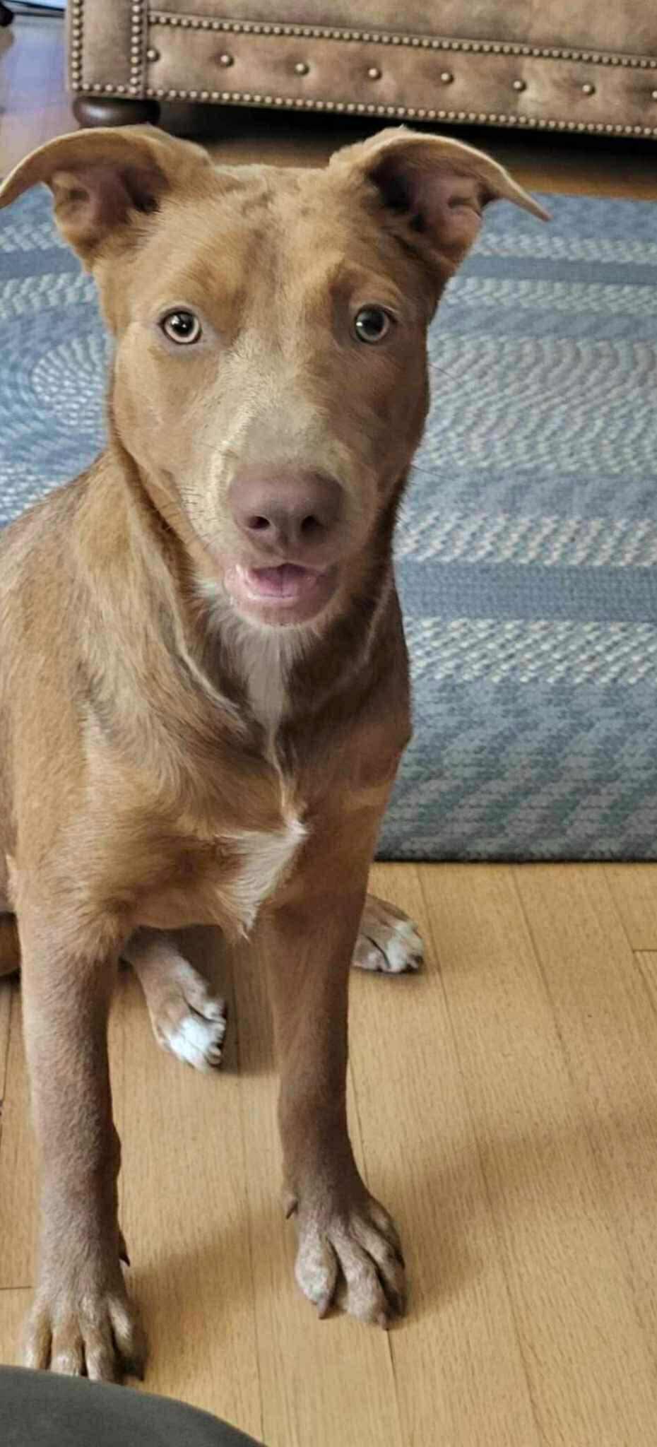 Miss Skye (20250131-01) — thumbnail 5