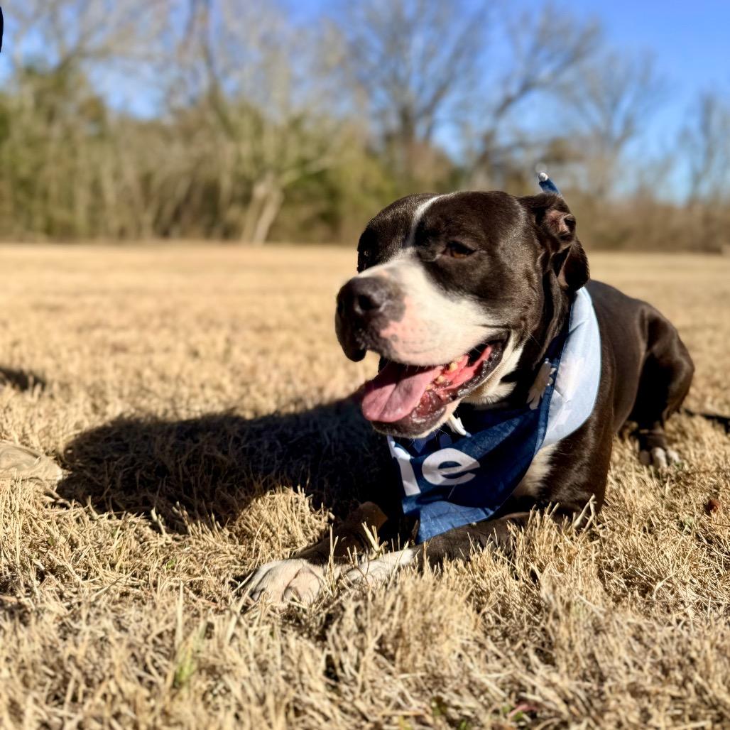 Coast — thumbnail 2