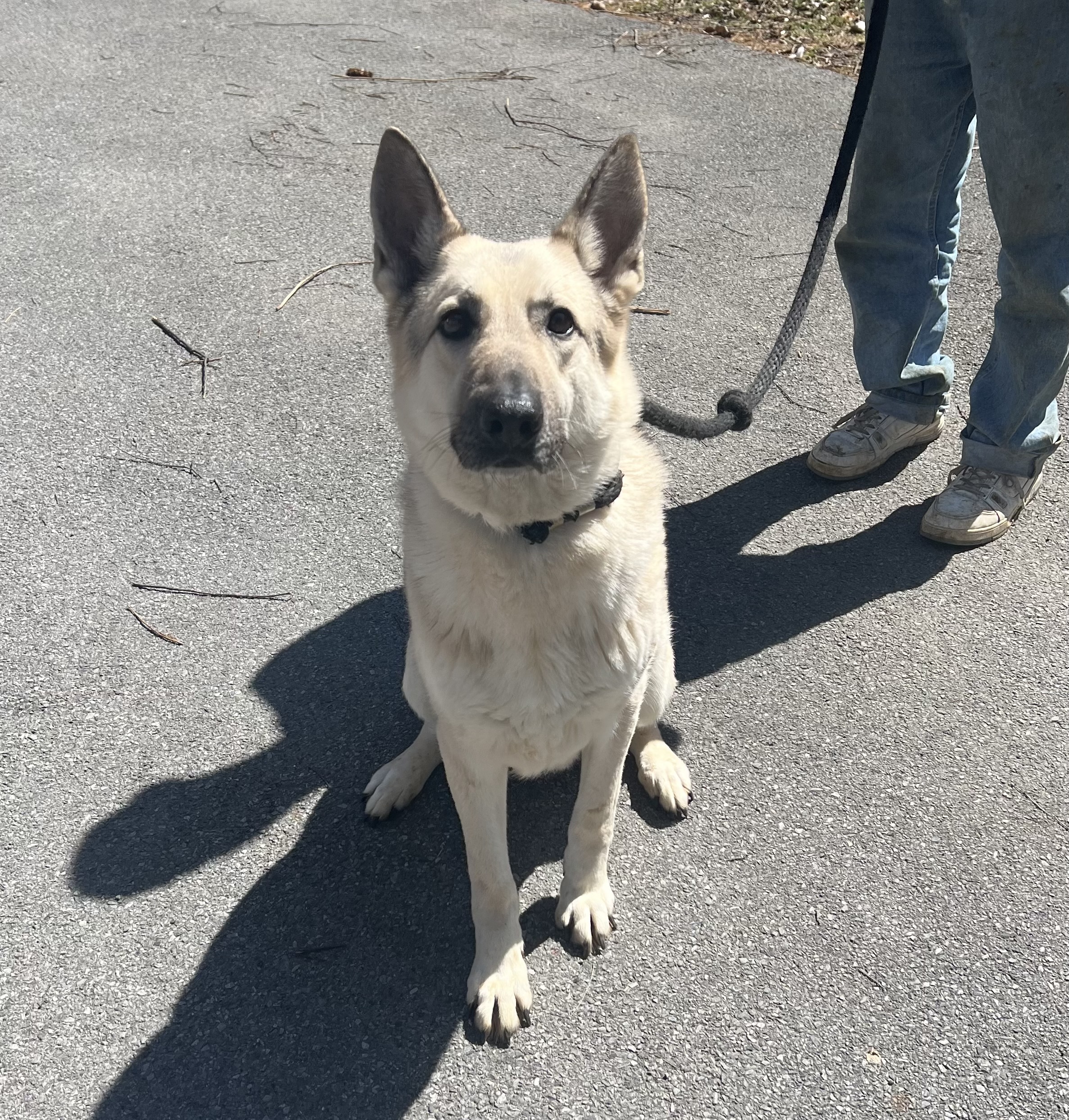 BUDDHA - in NY & Ready for a Meet & Greet!
