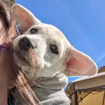 Twice K Pop — thumbnail 4