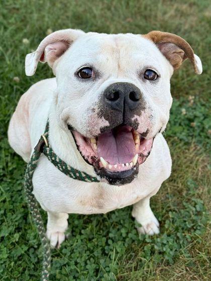 Leroy — thumbnail 2