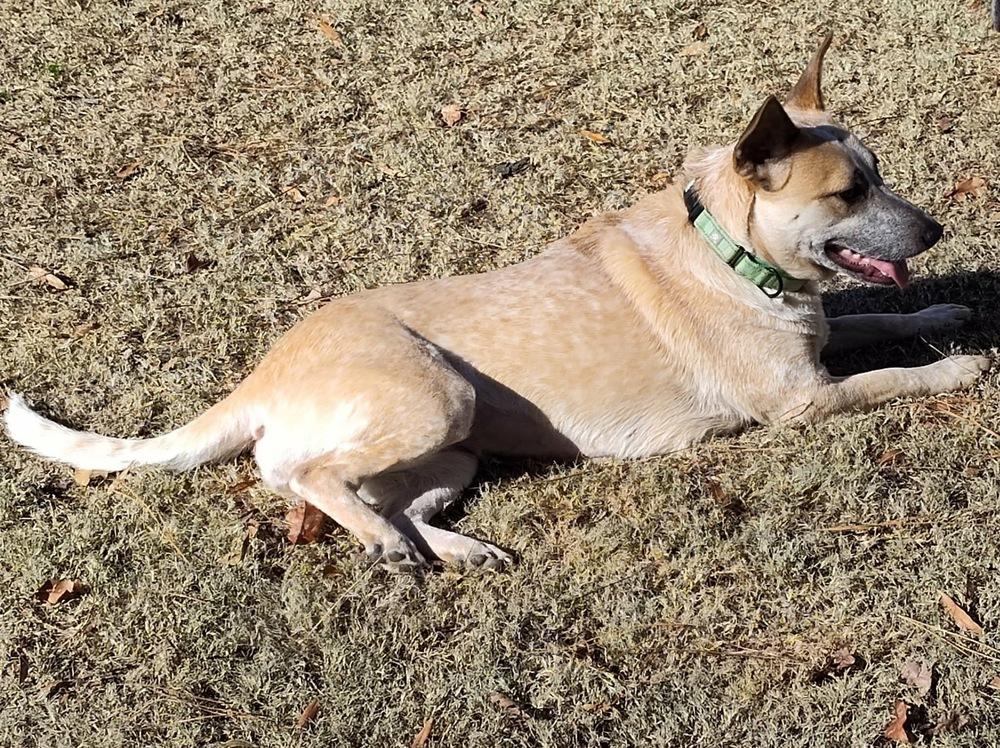 Gretchen thumbnail 2