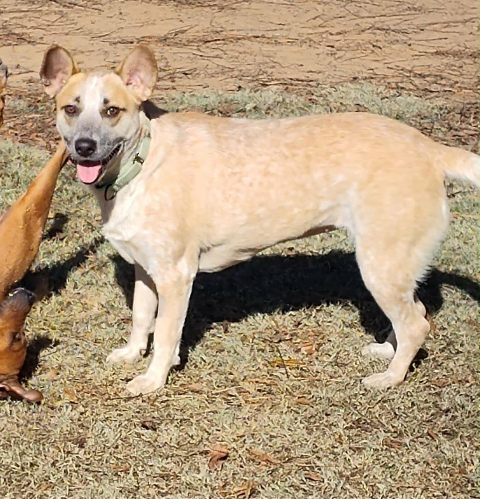 Gretchen thumbnail 4