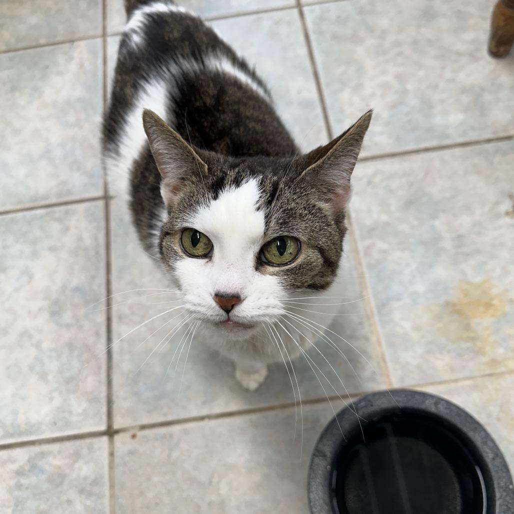 Peanut — thumbnail 3