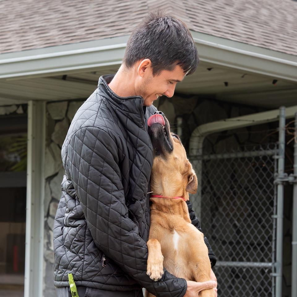 Enlarge Ziti, a Adoptable Terrier in Miami, FL image 5/6