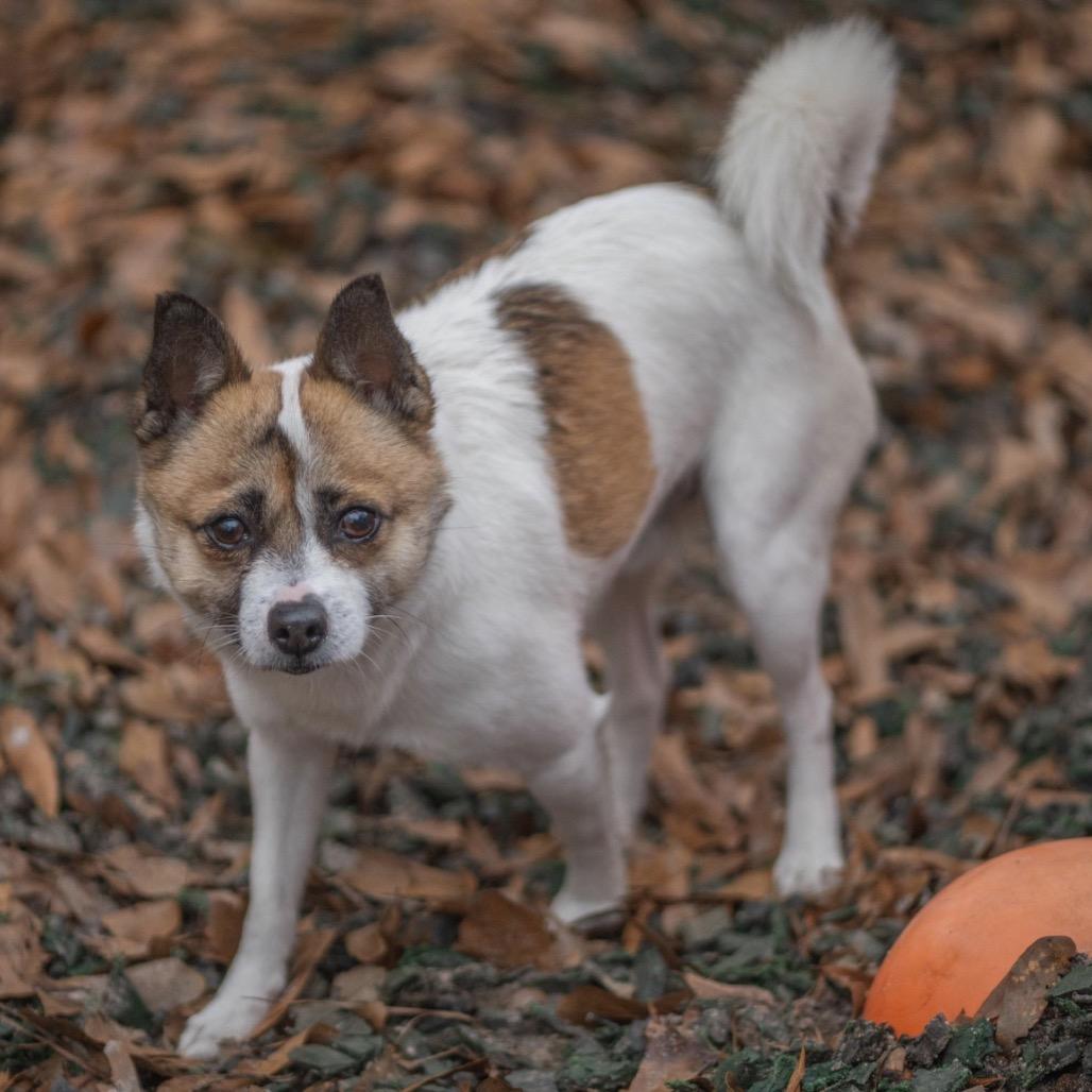 Baywatch thumbnail 4