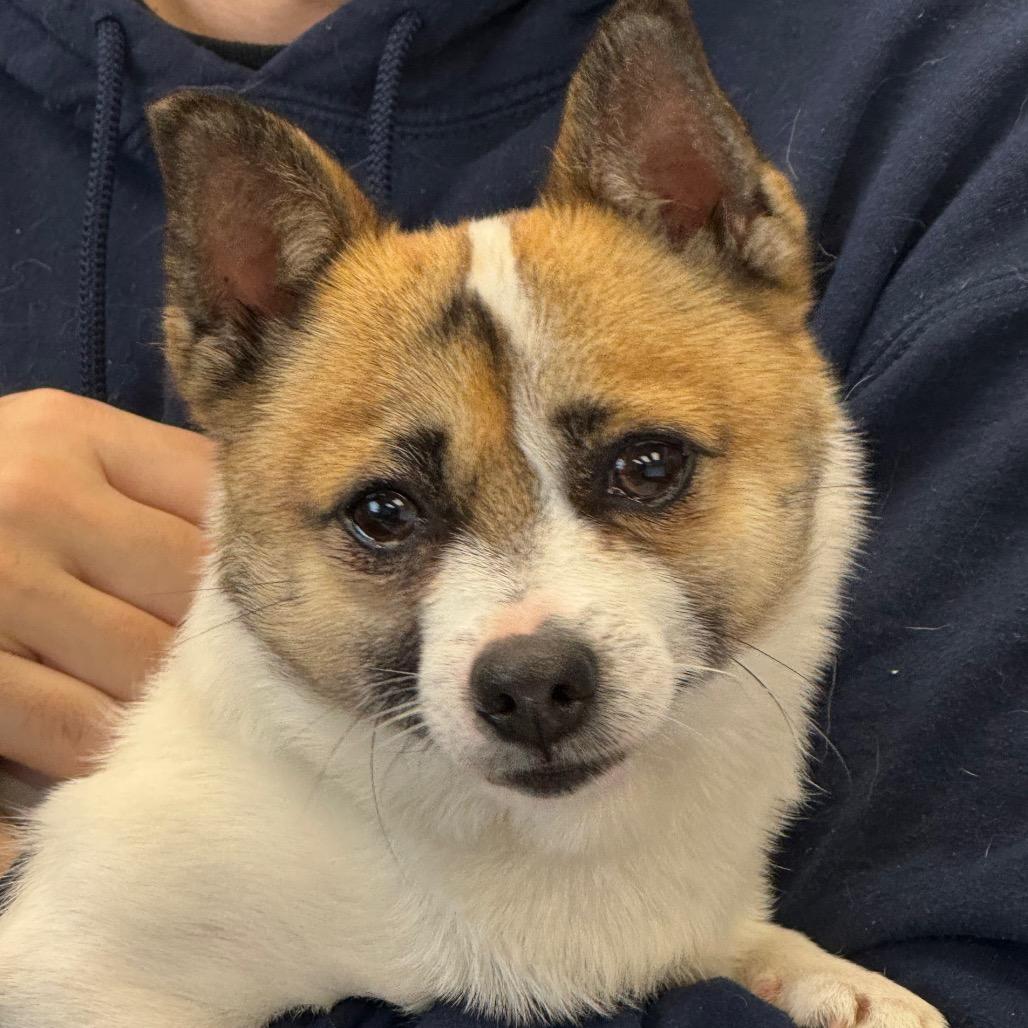 Baywatch thumbnail 5