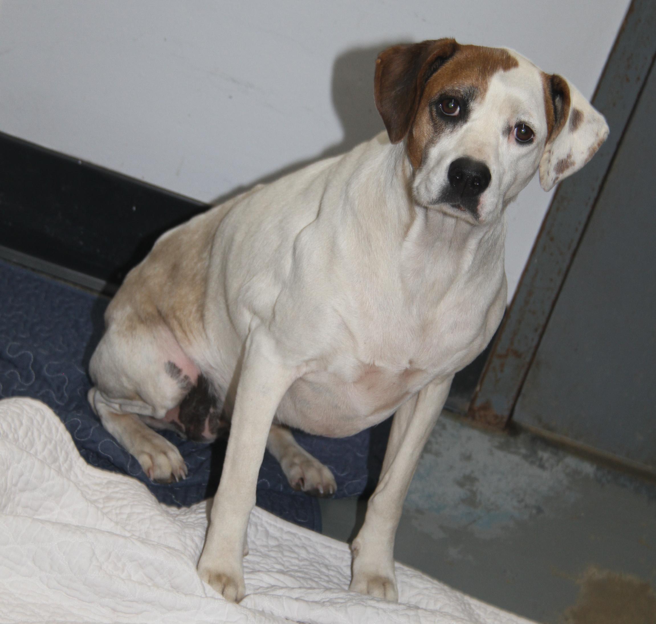 Morgan  Sparrow And thumbnail 2