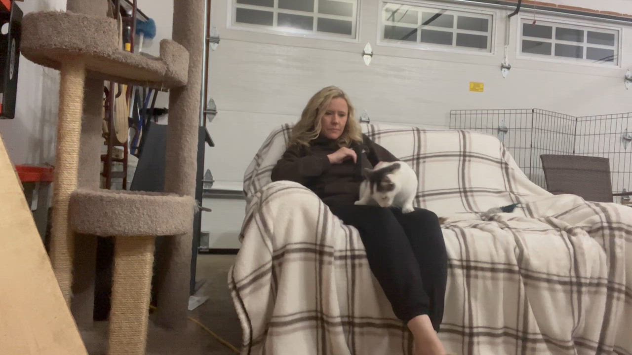 Enlarge Marshmallow -needs you!, a Adoptable mixed breed in Medina, OH video 4/4