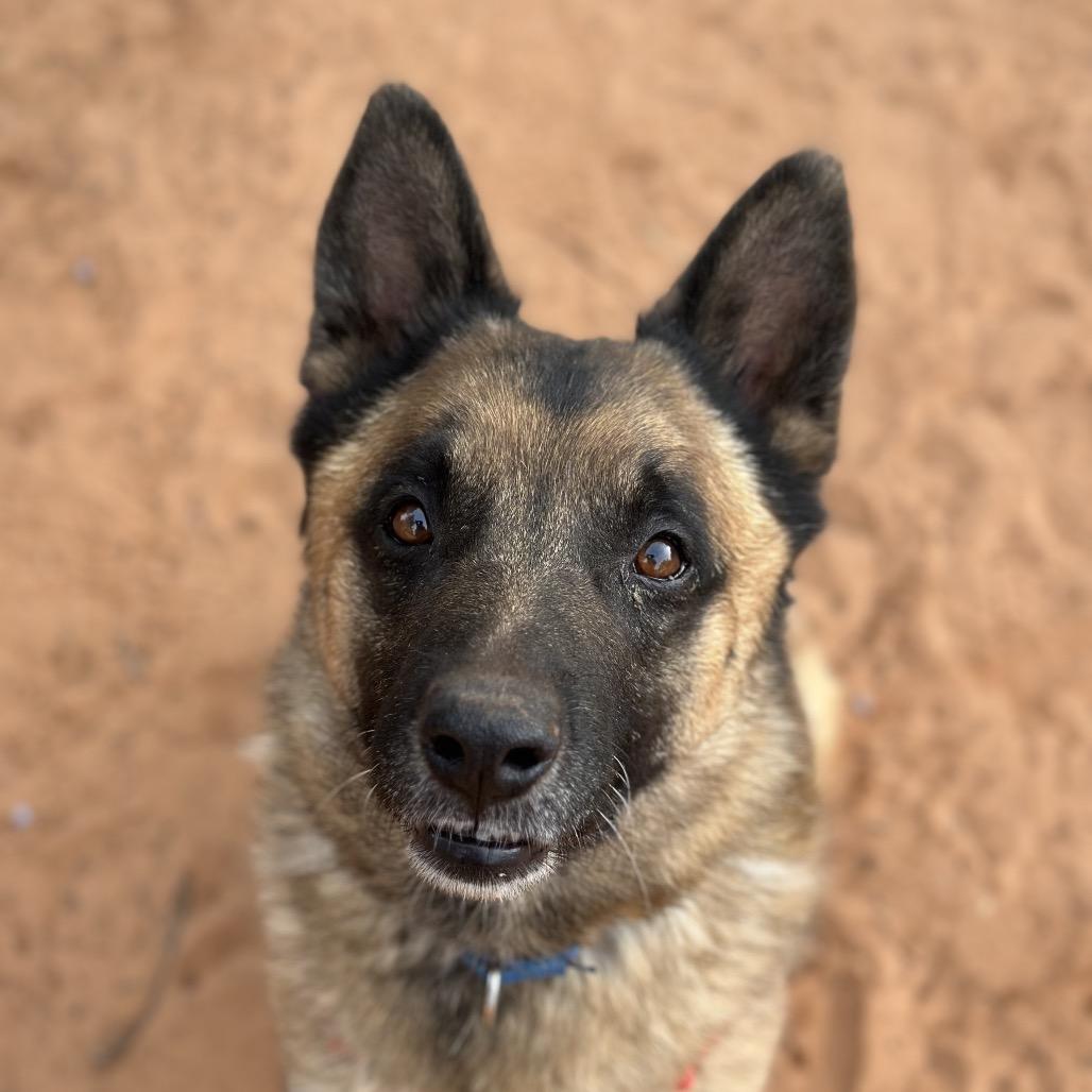 Wolfgang — thumbnail 3