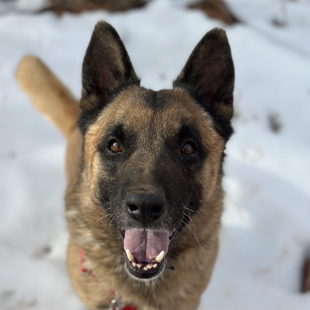 Wolfgang — thumbnail 4