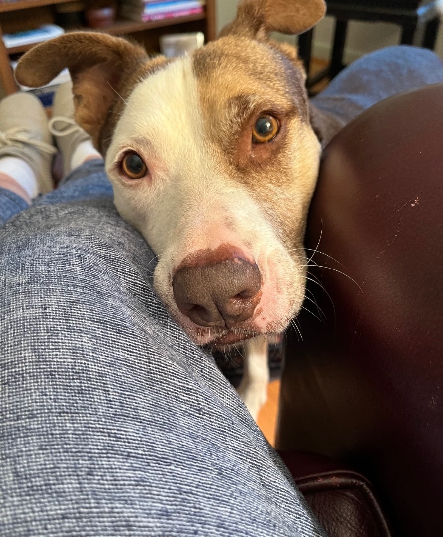 Dr. Zeus thumbnail 4