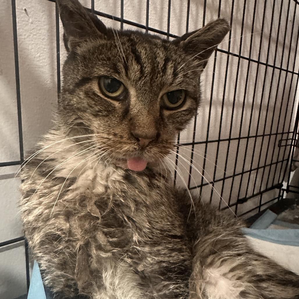 Daly — thumbnail 4