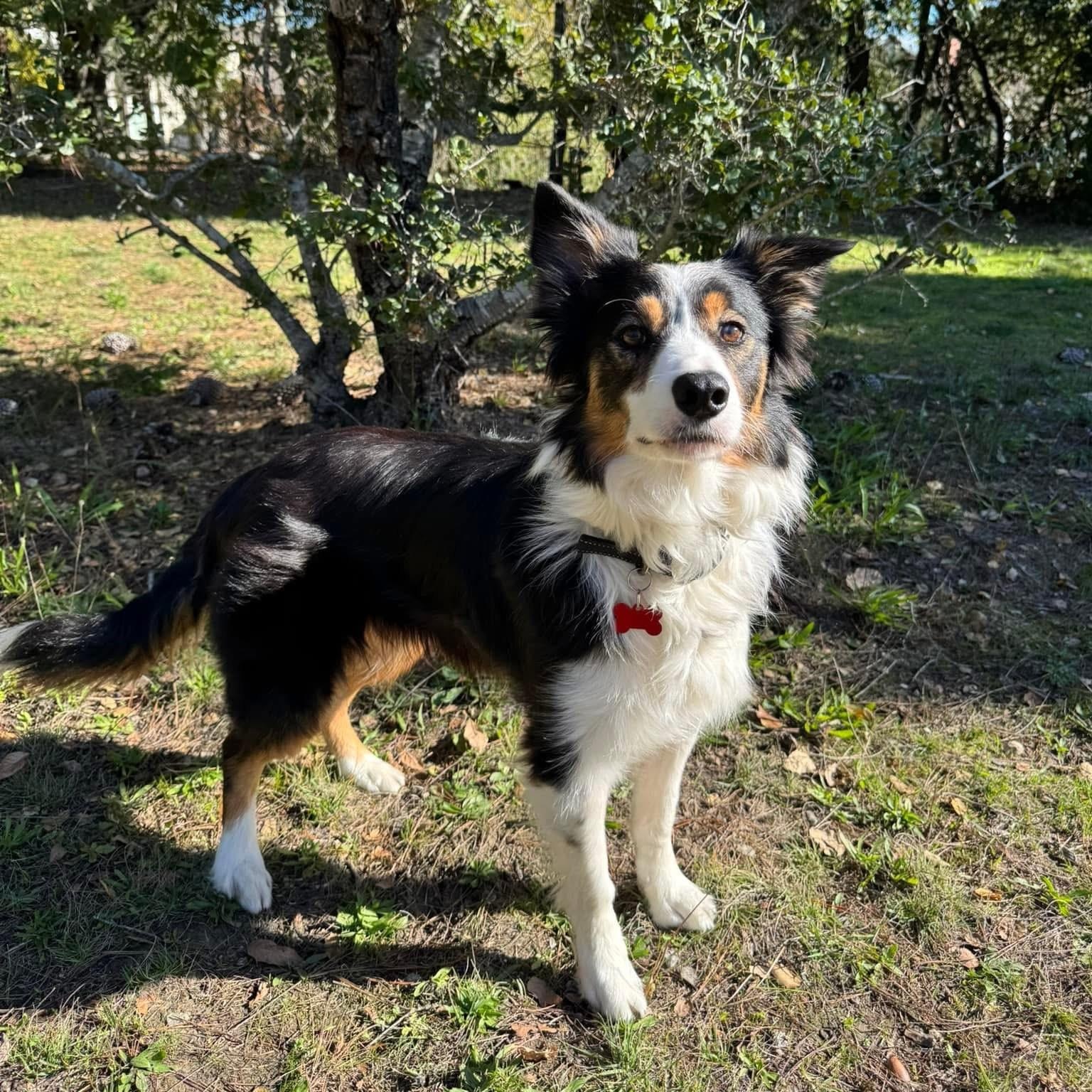 Ranger photo 2