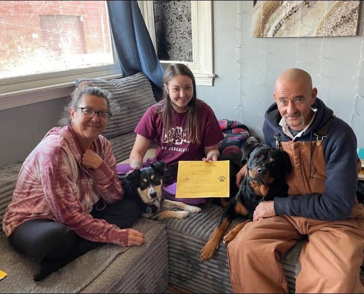 Enlarge Sugarplum, a Adopted Rottweiler in Tonawanda, NY image 3/3