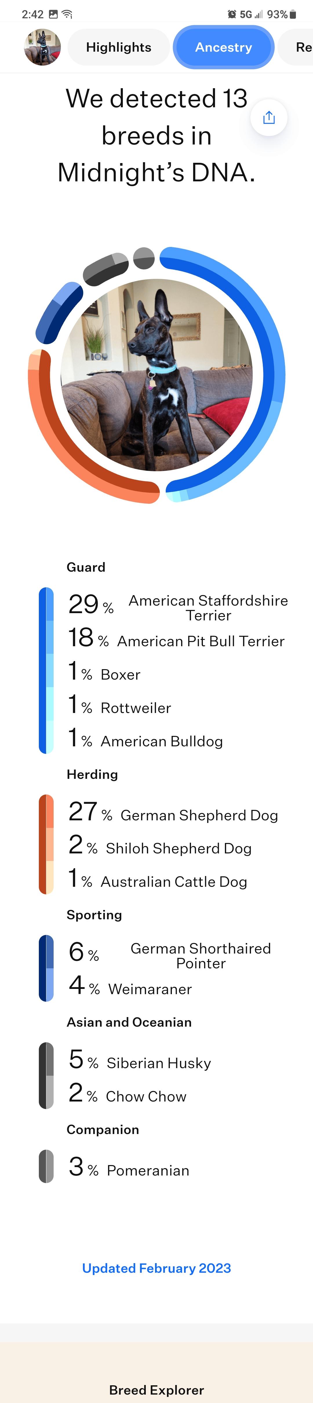 Enlarge Midnight, a Adoptable mixed breed in Bakersfield, CA image 4/4