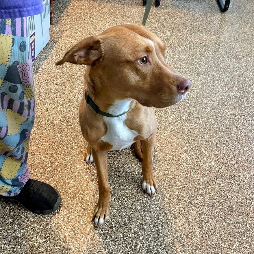 Archer — thumbnail 2