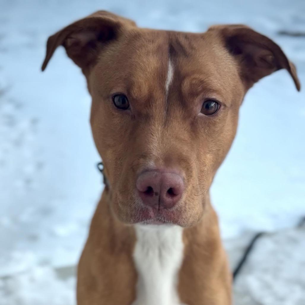 Archer — thumbnail 6