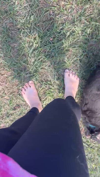 Enlarge Scruffy, an adopted mixed breed in Maitland, FL video 4/5