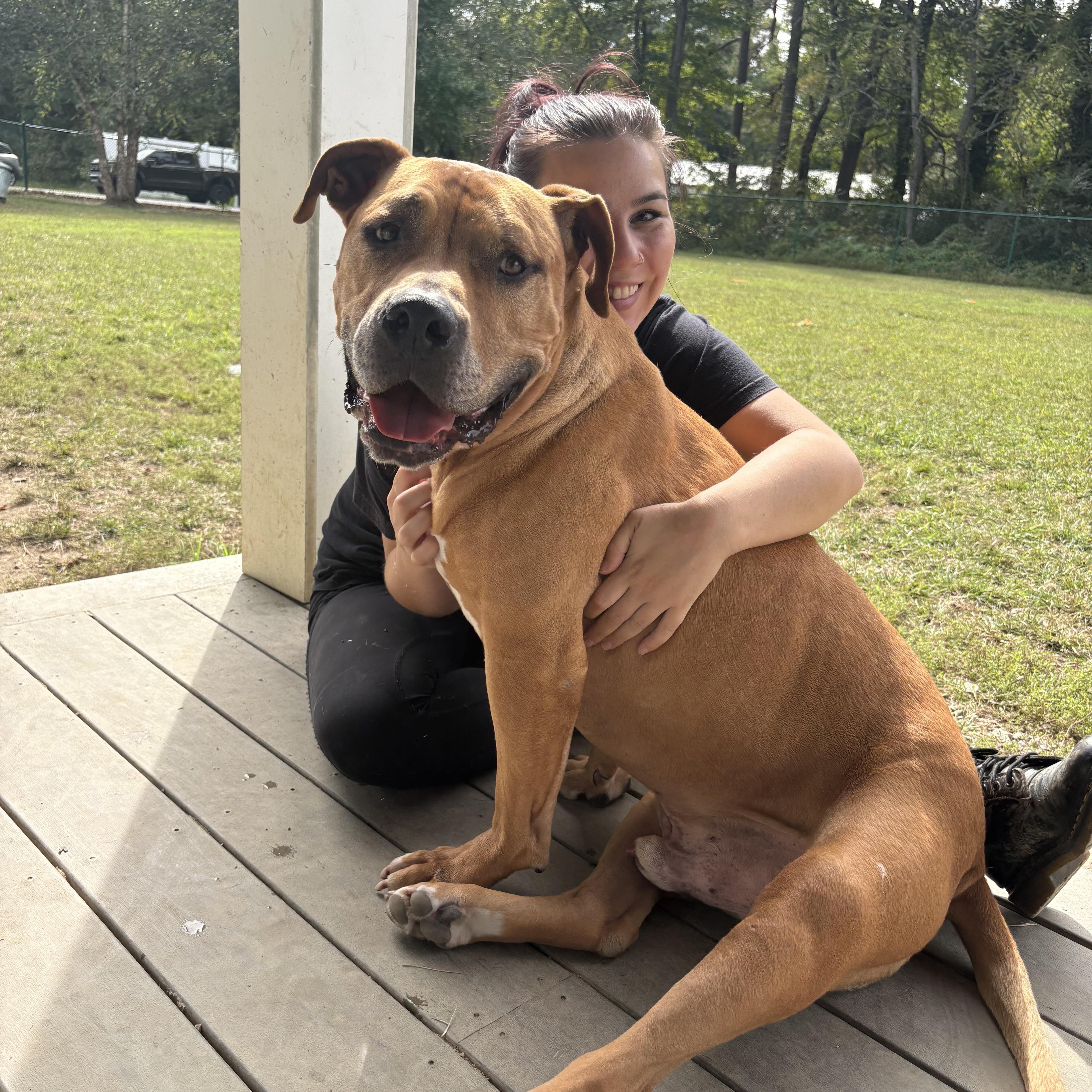 Enlarge Drew, a Adoptable mixed breed in Saluda, VA image 2/6