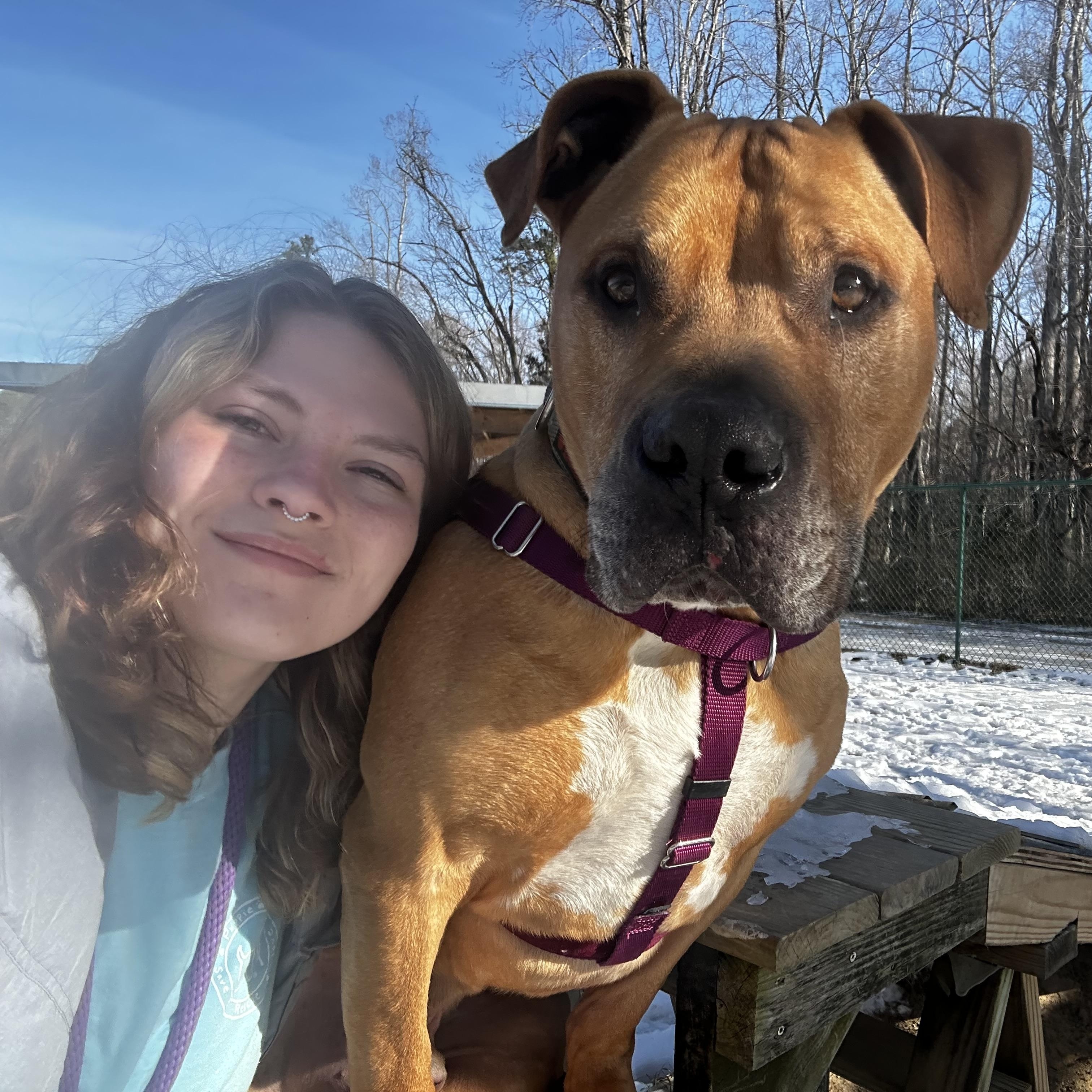 Drew, a Adoptable mixed breed in Saluda, VA image 6/6