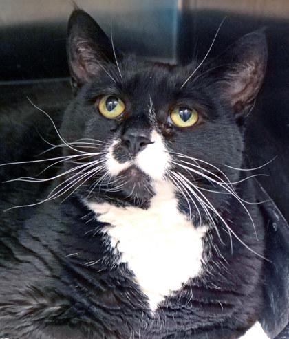 Tiana — thumbnail 2