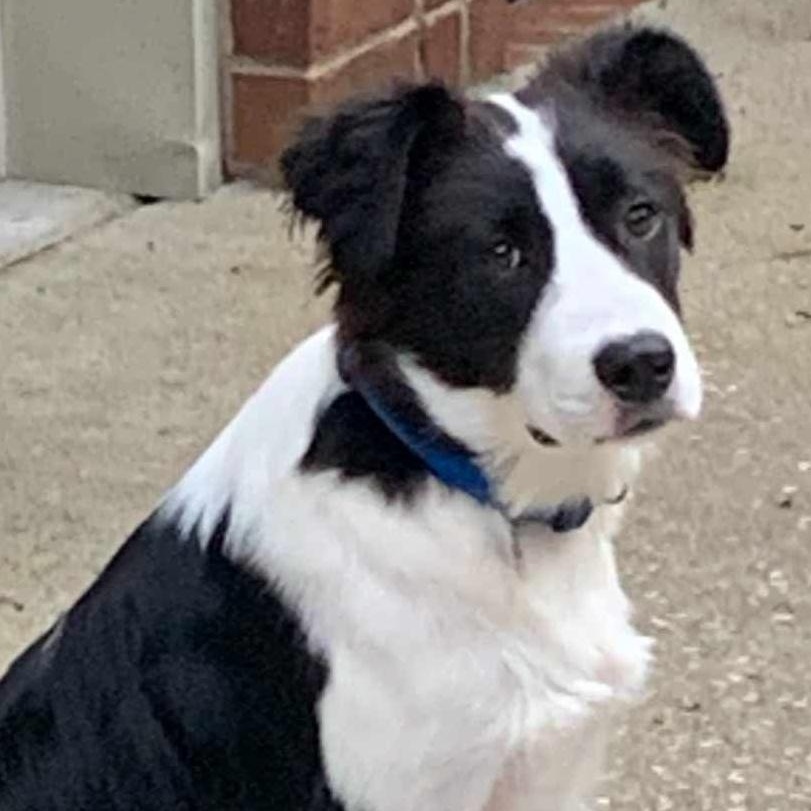 Max