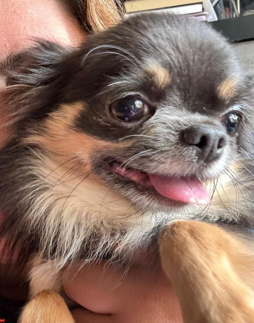 Oscar