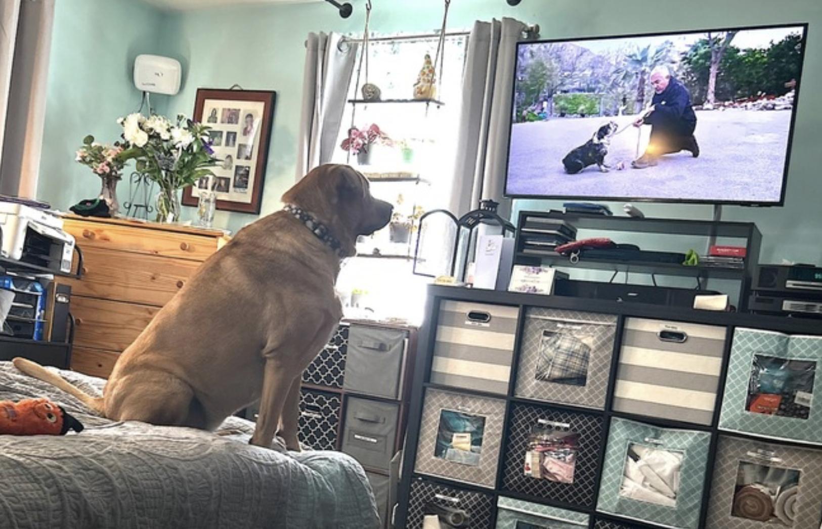 Misty — thumbnail 3