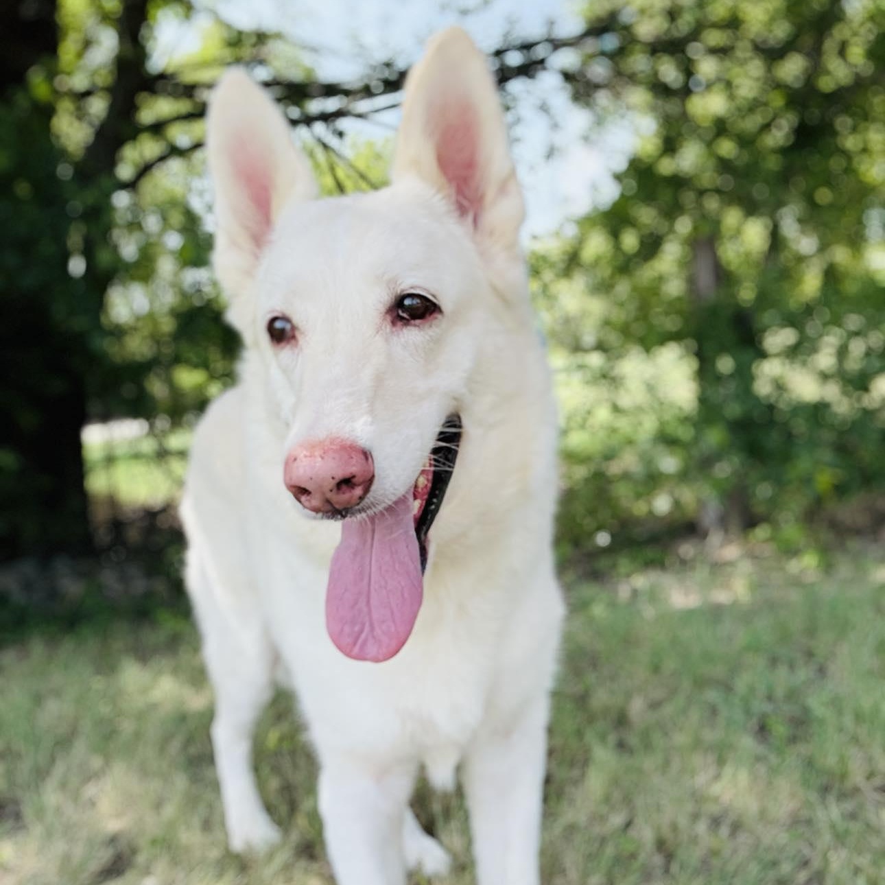 *Flex, Senior Male unknown