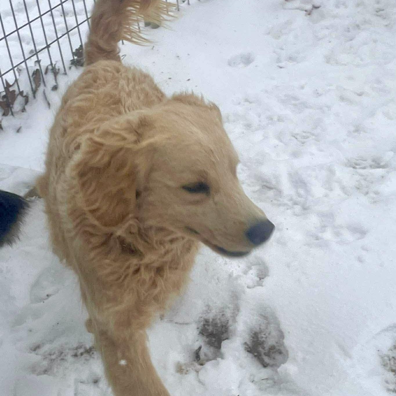 Sullivan thumbnail 3