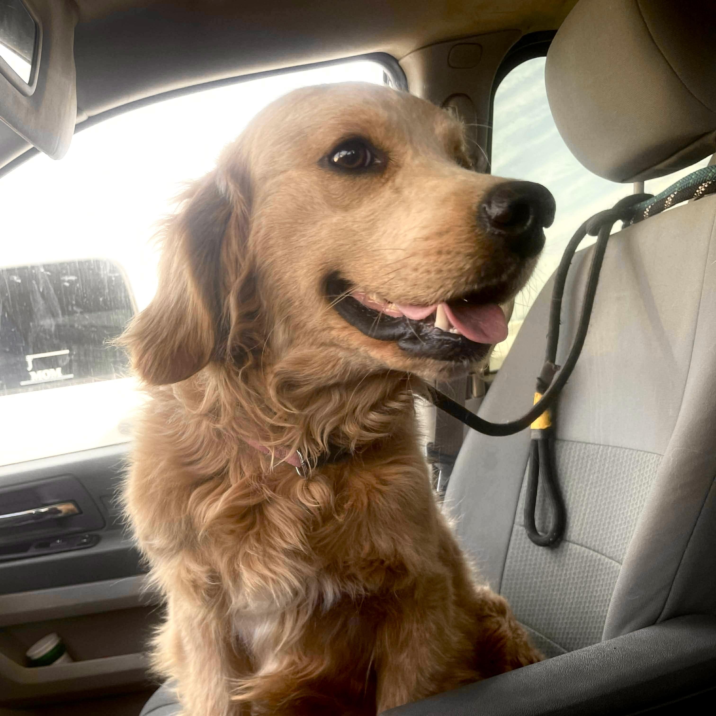 Sullivan thumbnail 4