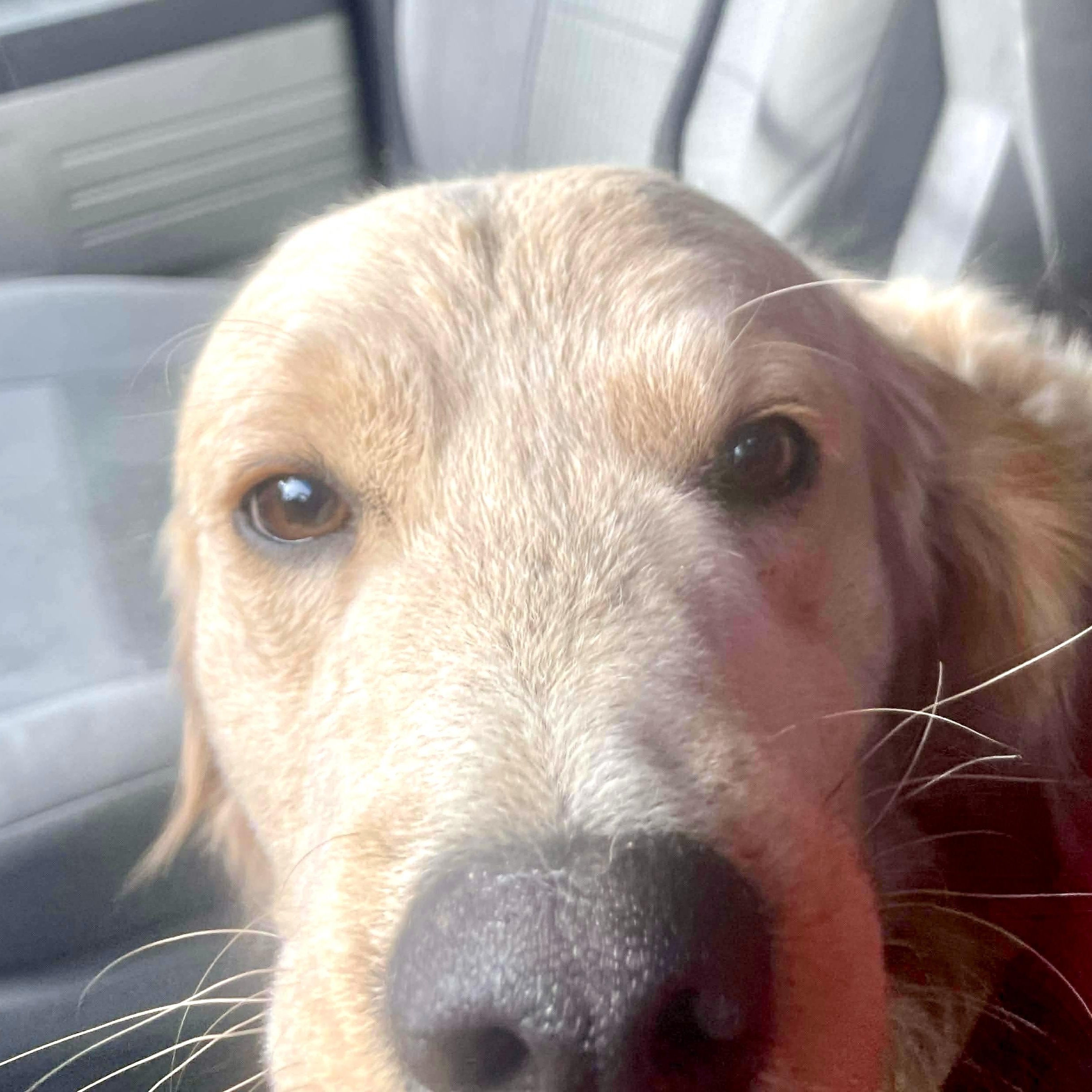 Sullivan thumbnail 5