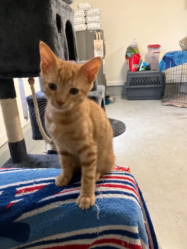 Ziggy.  Of The thumbnail 2