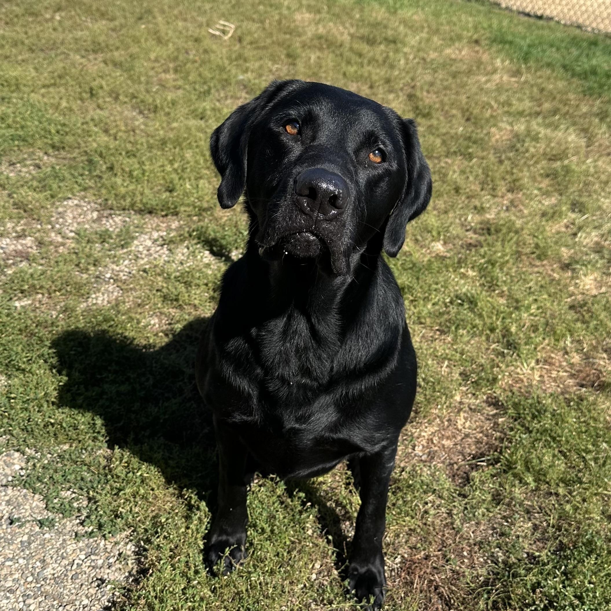 Sam