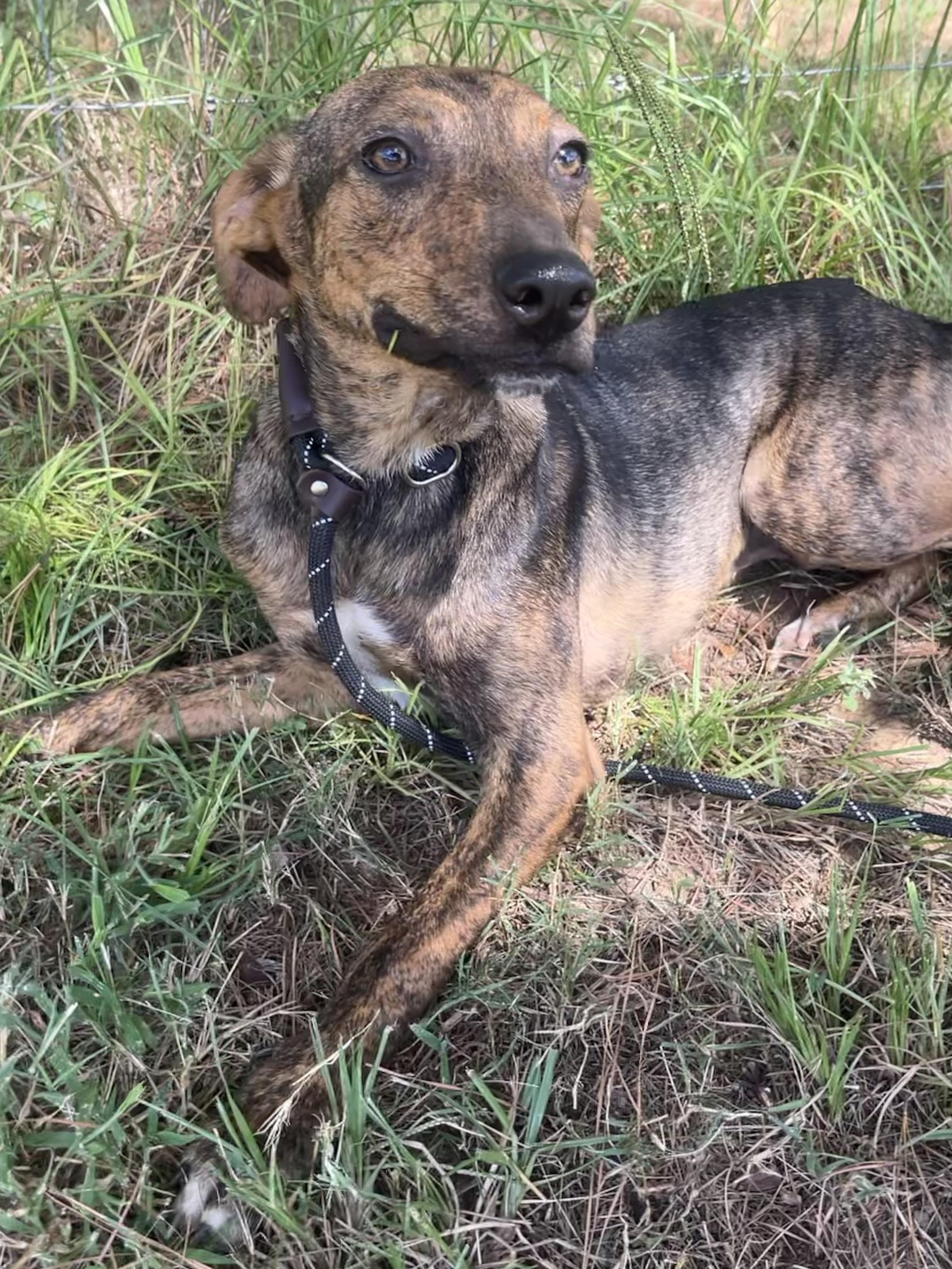 Carlos