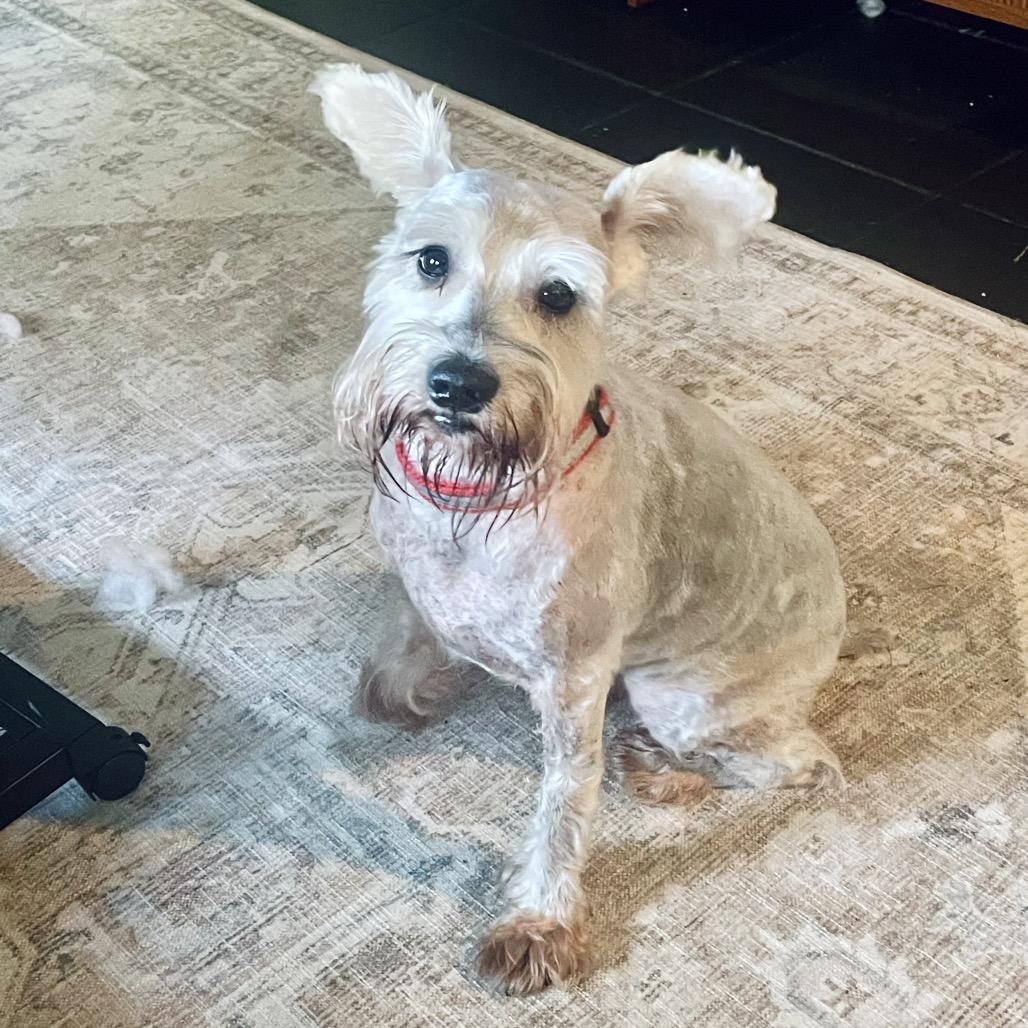 Oatmeal — thumbnail 2