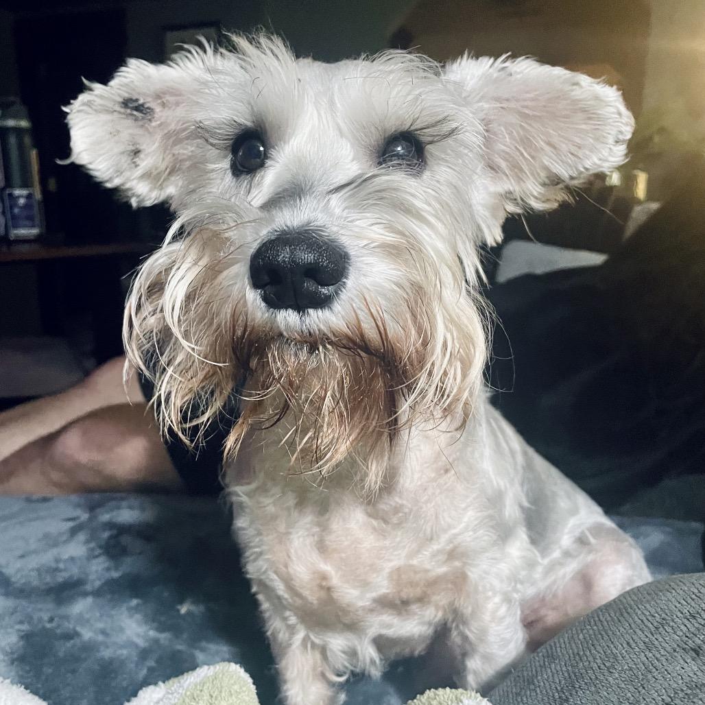 Oatmeal — thumbnail 5