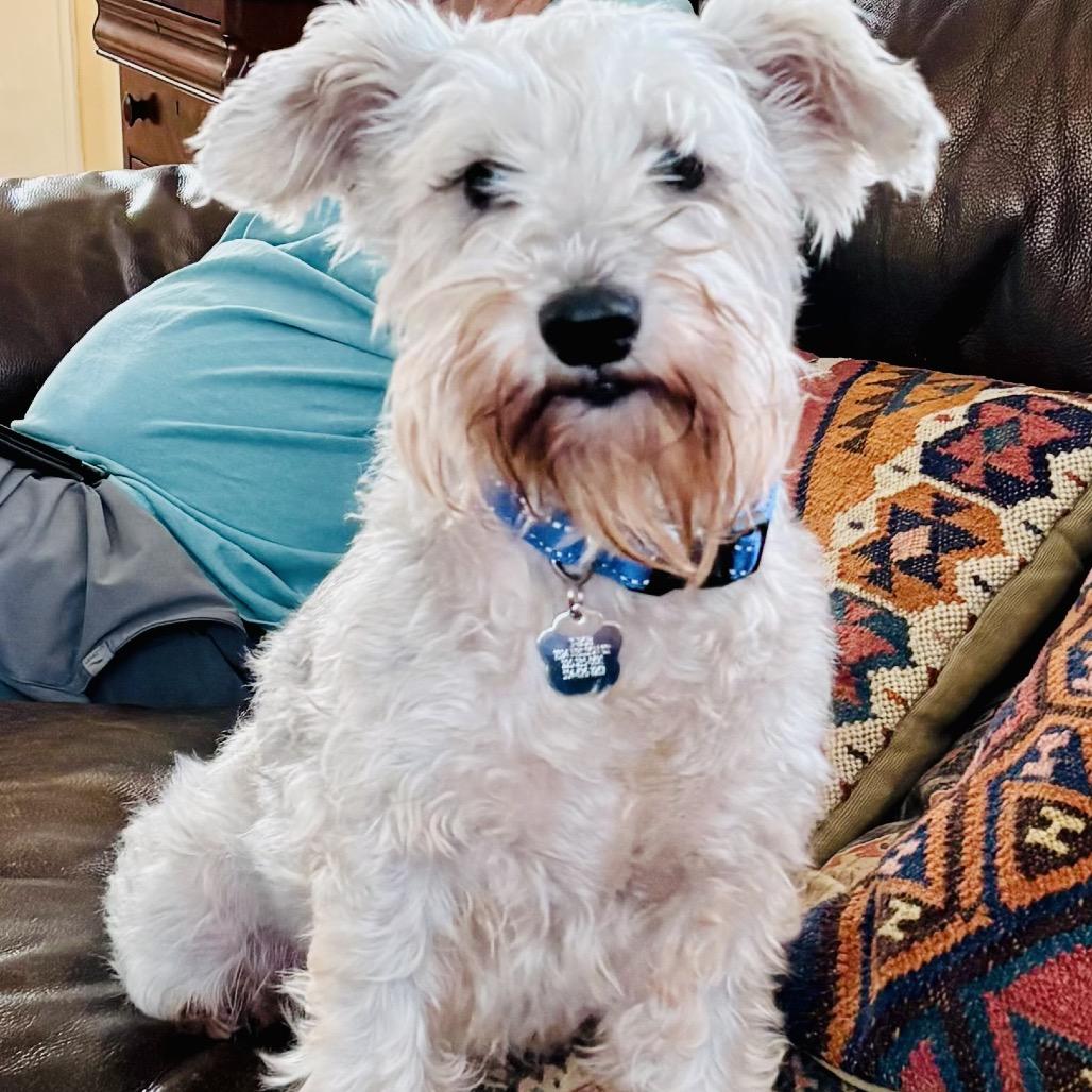 Oatmeal — thumbnail 6