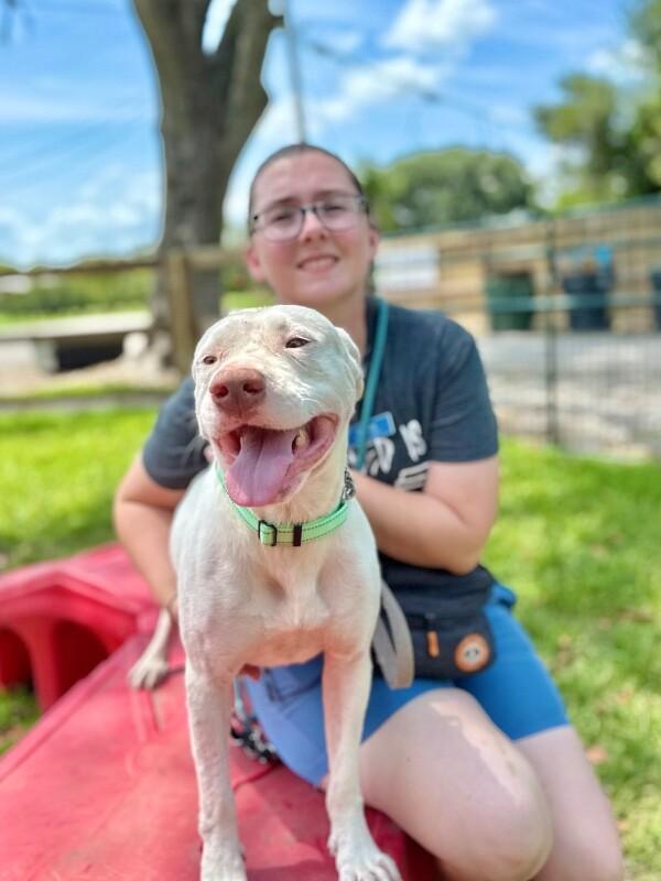 Leroy lap lovin brown — thumbnail 2