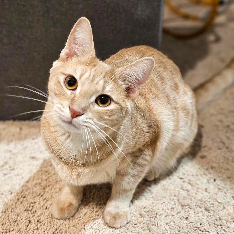 Logan — thumbnail 2