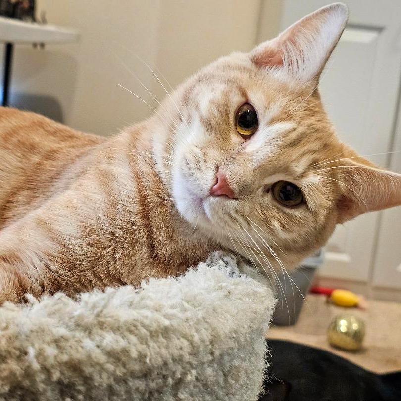 Logan — thumbnail 4