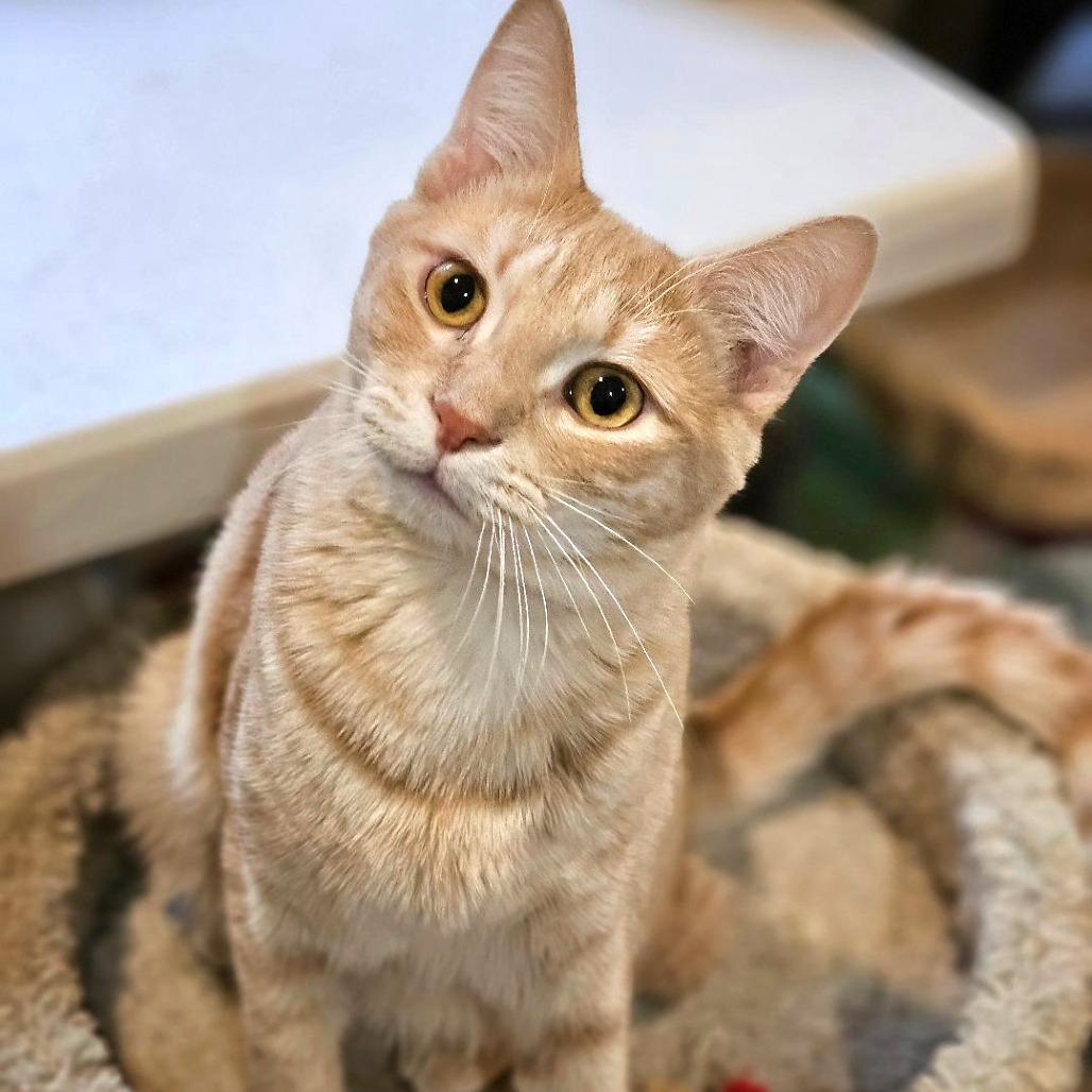 Logan — thumbnail 5